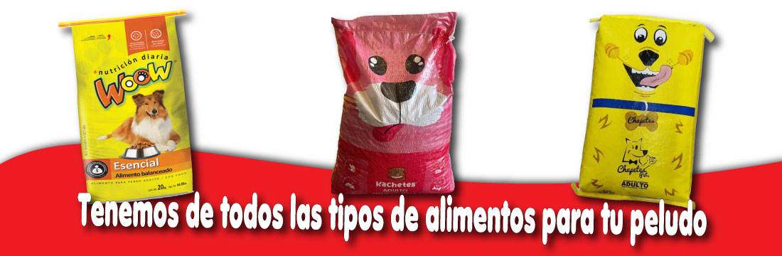 Imagen 5